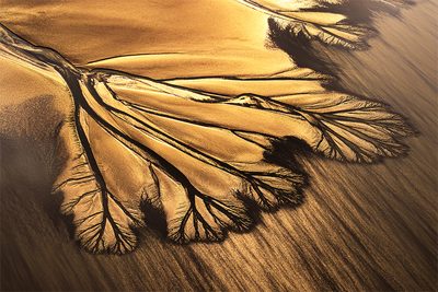 Jenq Horng Liang (Chinese Taipei) -Sunset illuminating tidal tree